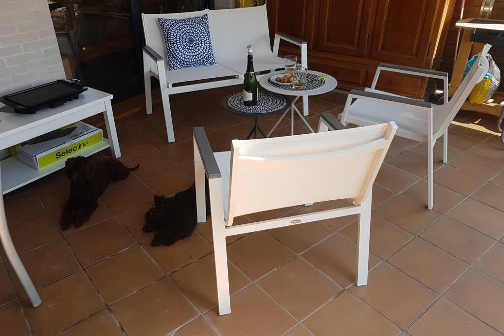 Appart Residence De Standing Calme Avec Piscine Roses Dış mekan fotoğraf